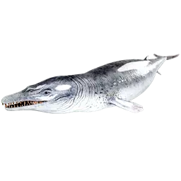 Basilosaurus