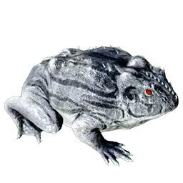 Beelzebufo