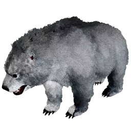 Dire Bear