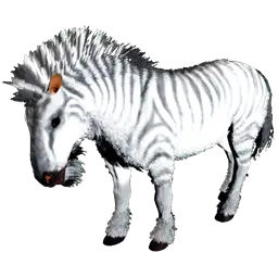 Equus