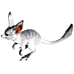 Jerboa