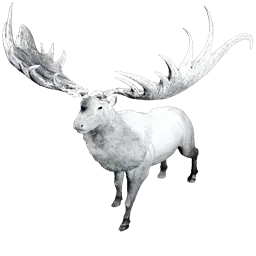 Megaloceros