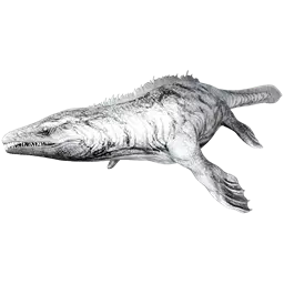Mosasaurus