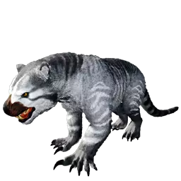 Thylacoleo